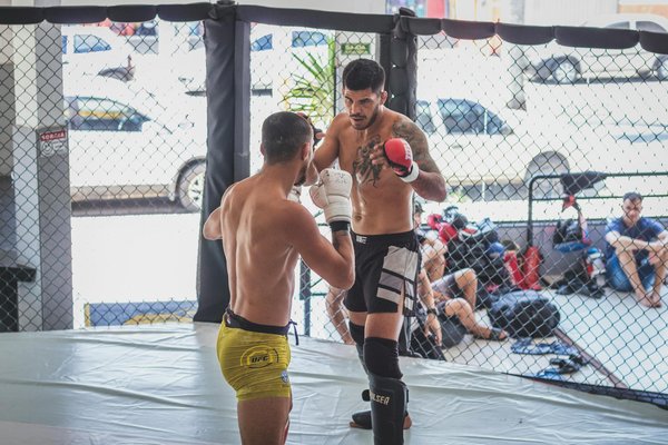 Top Strategies to Enhance Balance for Elite Surfers: Unlock Your Surfing Potential